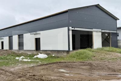 Spațiu comercial, de 1,770 mp, în Aeroport - 13