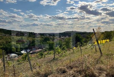 Teren 2318 mp - Strada Adevarului, zona de dealuri, la super pret! - 2