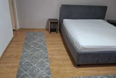 Garsonieră semidecomandată în Vișan - 5
