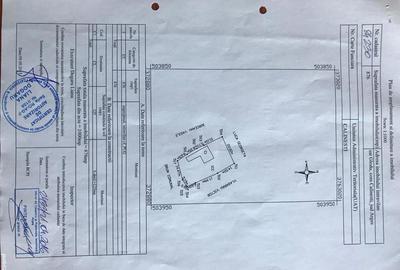 Casă cu 3 camere cu Teren 3000 Mp în Gorganu - 2
