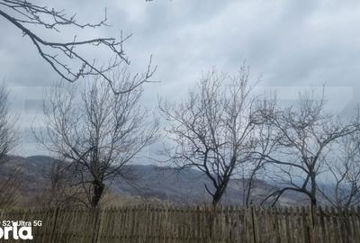 Teren de 3781 mp, în Izvoarele - 3