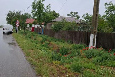 Casă cu 3 camere cu Teren 670 Mp în Segarcea-Deal - 2