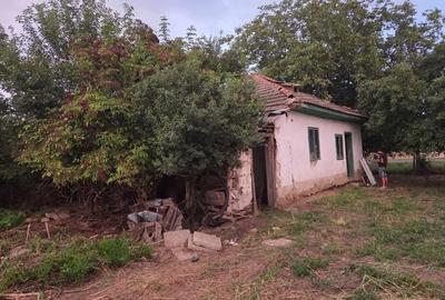 Casă cu 2 camere în Pogoanele - 9