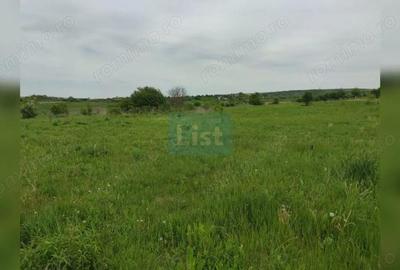 Teren de 800 mp, în Sopor