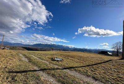 TEREN INTRAVILAN SIRNEA/ 4000 MP/ - 5