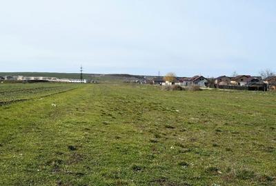 Teren de 6000 mp, în Centură - 6