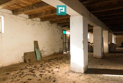 Hală industrială cu teren generos în Zărand, Arad - 28