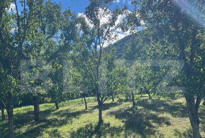 Teren intravilan 500mp Saratel - 10