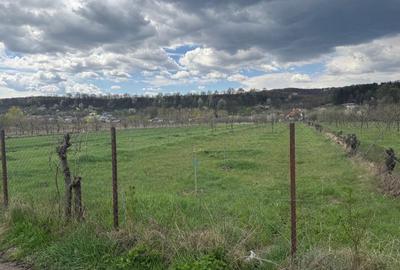 Spațiu comercial, în Dragodănești - 3