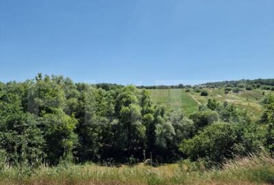 Teren de 1200 mp, în Central