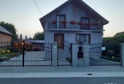 Casa de vanzare Iernut - 1