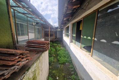 In frumoasa zona RONAT-la vanzare teren cu casa pentru renovare sau demolare - 7