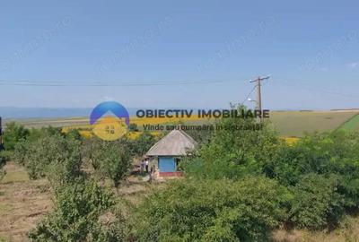 Teren de vanzare - Margineni 5920 mp - 2