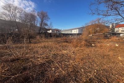 Teren Construcții intravilan de 2600 mp, în Viișoara - 1