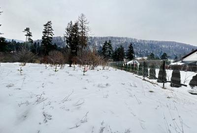 Teren intravilan - Sacele - Brasov - 2