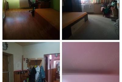Apartament cu 3 camere decomandat în Valea Rosie - 9