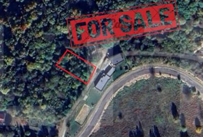 Teren de investitie 1256 mp - 1