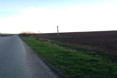 Teren Construcții intravilan de 27700 mp, în Iernut - 9