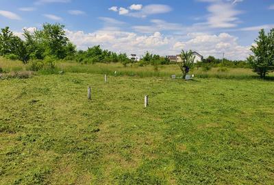 Teren de 700 mp, în Pipera - 5