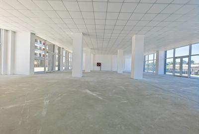 Spatiu Comercial - Str. Liviu Rebreanu - 286 MP - Comision 0% - 7