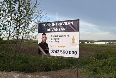 Teren Construcții intravilan de 3500 mp, în Exterior Sud - 15