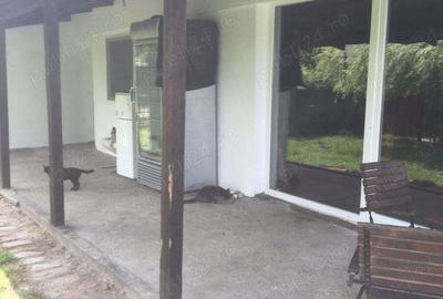 Casă cu 4 camere cu Teren 1781 Mp în Checea - 9