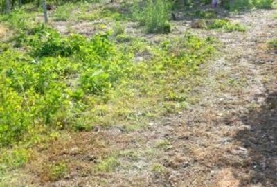 Blitz va ofera spre vanzare casa in Covasant - 14