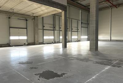 Spațiu industrial, de 800 mp, în Someșeni - 2