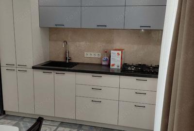 Apartament cu 2 camere semidecomandat în Basarabia