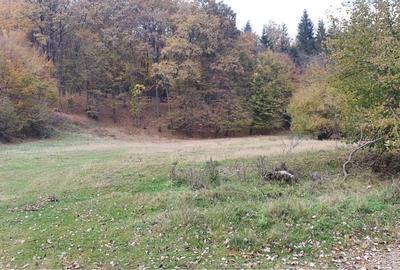 Teren de 50000 mp, în Frăsinet - 2