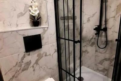 Apartament cu 2 camere decomandat în Buziașului - 2