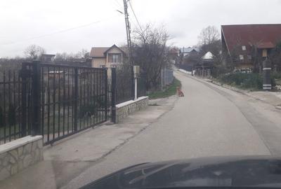 Spațiu comercial, în Vlădești - 2