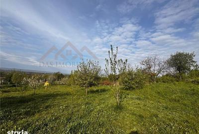 Casă cu 4 camere cu Teren 2341 Mp în Cicârlău - 3