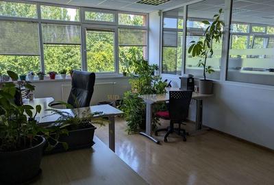 Cladire de birouri D+P+4E si hala de productie, Drumul Lunca Cetatii, Sector 3 - 17
