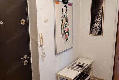 Apartament de inchiriat cu 2 camere, decomandat, et.1, TINERETULUI-PIATA NORILOR - 10