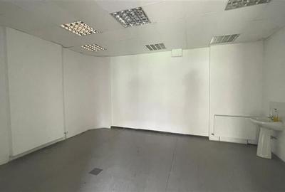 Ion Mihalache, vila 2005, 370 mp utili, curte libera 230 mp - 9