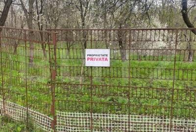 Teren de 784 mp, în Nistorești - 4
