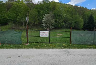 Teren de 2450 mp, în Bulz - 7