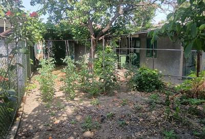 Casă cu 3 camere în Oltenița - 5