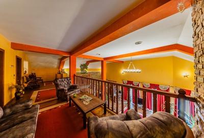 Vila modern 6 camere de vanzare in Gradiste - 22