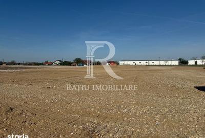 Teren de 10000 mp, în Sânmartin - 2