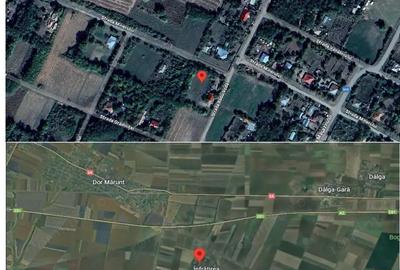 Casa si teren-Comuna Dor Marunt-Jud Calarasi - 2