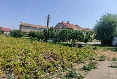 Teren intravilan Lovrin de vanzare - 5