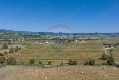 Teren Bran -Sohodol, Strada La mesteceni, 6900mp - 4