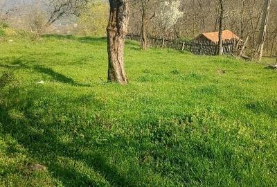 Teren Construcții intravilan de 1000 mp, în Meteș - 2