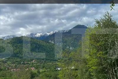 Teren intravilan zona deosebita in Zarnesti Teren intravilan zona deosebita in Zarnesti - 10