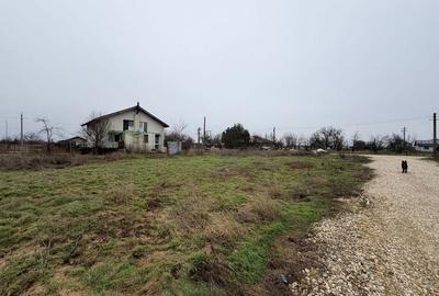 Teren de 500 mp, în Copăceni - 5