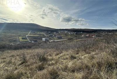 Teren de 1525 mp, în Budacu de Jos - 7