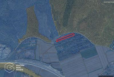 Teren agricol extravilan de 3900 mp, în Central - 2