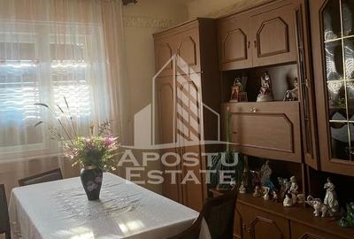 Casa individuala plus anexa, zona centrala in Faget - 11